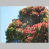 Wellington 051.jpg